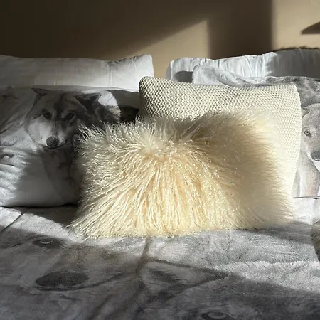 Des Bois Sauvages Luik