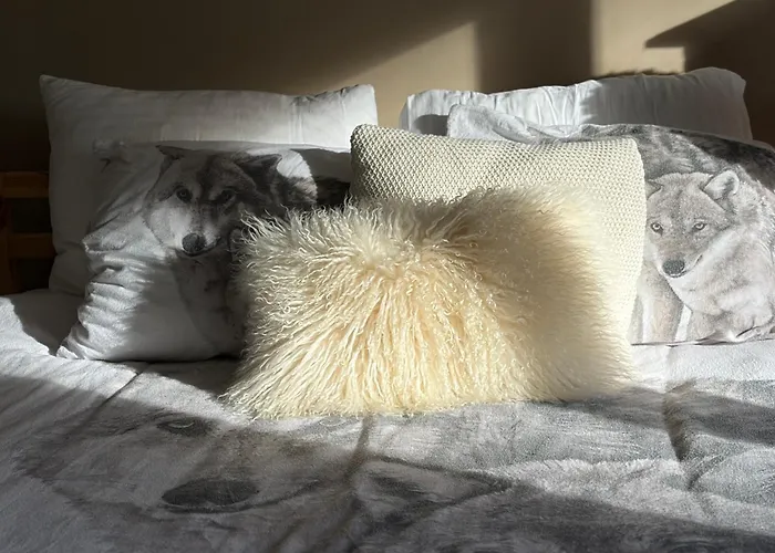 Des Bois Sauvages Luik